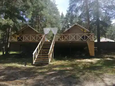 Сарин - 25
