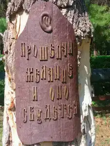Березки - 14