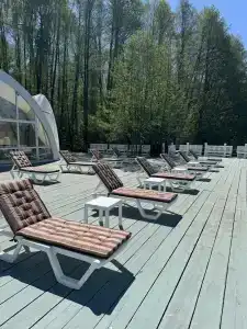 Гуси-Лебеди - 46