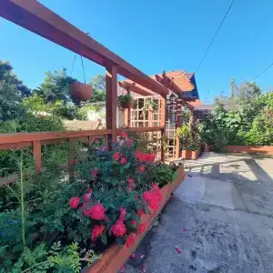 Усадьба Пантелея - 31