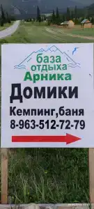 Арника - 34