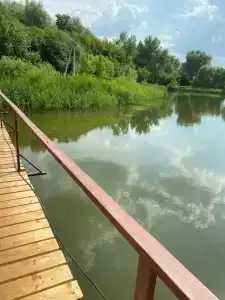 Голден Фиш - 0