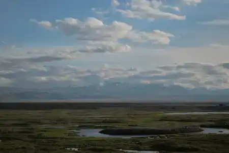 Altay Steppe - 25