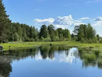 Челмужская усадьба - 48