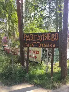 Разгуляево - 57