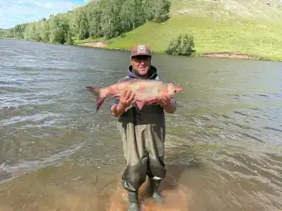 Бишкурай - 40