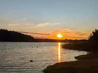 Энергетик - 29