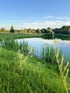 Усадьба Святогорье в Подгорново - 3