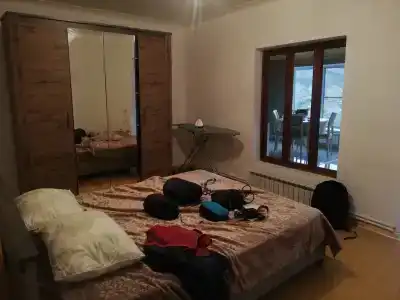 Пение птиц - 59