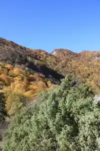 Затерянный мир - 21