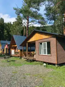 Лесной Кот - 17