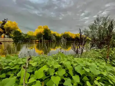 Заманиха - 28