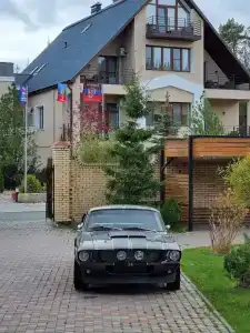 Гости - 67