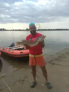 Сазаний угол - 31