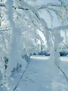 Светлана - 2