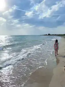 Paradise Beach - 43