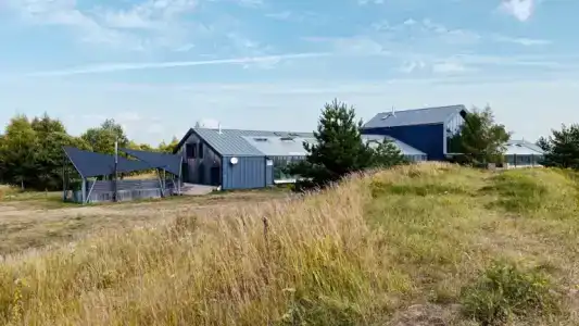 ЯсноПоле - 49