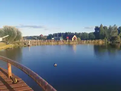 Николаевские Пруды - 78