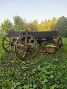 Березовый хутор - 7