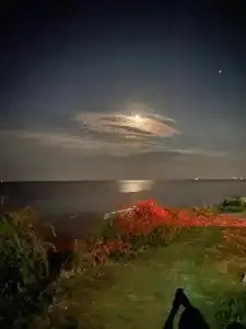 у Михалыча - 2