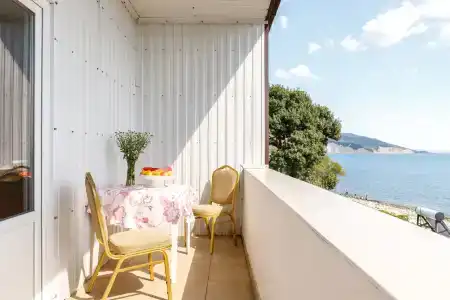 Сашенька - 26