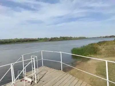 Астра - 38