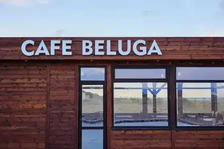 Белуга - 30