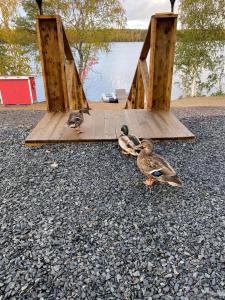 Юрта Лахти - 77