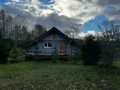 Медвежье урочище - 25