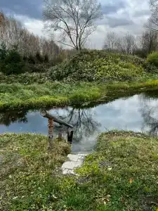 Медвежье урочище - 49