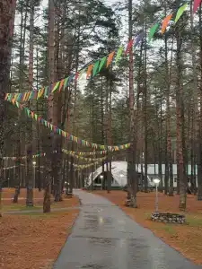 Звездный - 40