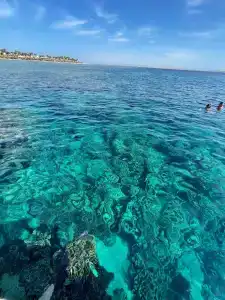 Baron Resort Sharm El Sheikh - 3