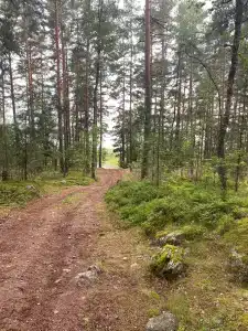 Колокольцево - 8