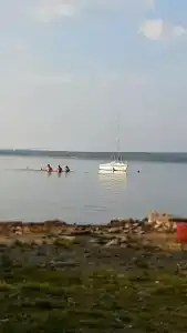 Поляна - 39