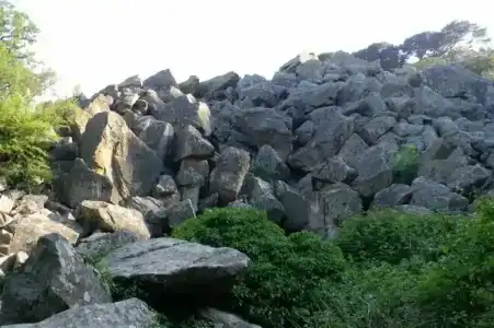 Дома в парке - 16