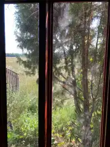 Бородино - 16