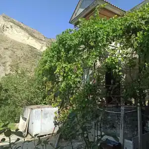 Пение птиц - 41