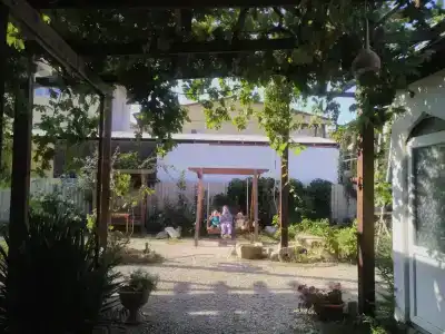 Ibrahim Evi - 44