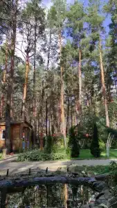 Чайка - 34