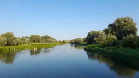 Васькины Домики - 26