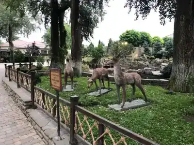 Теремок - 33