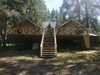Сарин - 38