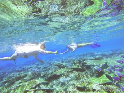 Ukulhas Breeze Inn - 33