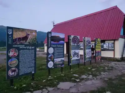 Фишт - 1