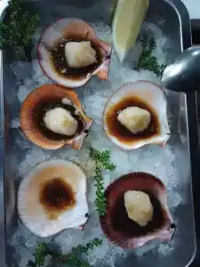 Teriberka by Eco Home - 2