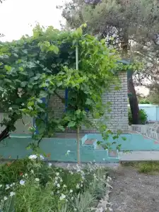Усадьба Приморье - 27