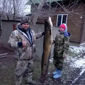 Мечта - 48