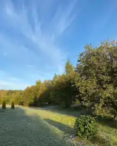 ЯсноПоле - 92