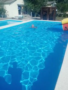 Фрунзенец - 22