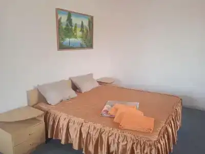 Мустанг - 21